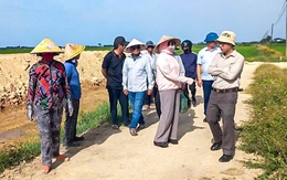 Sau 1 năm sống tạm bợ, người dân được cấp đất tái định cư nhưng vẫn chưa thể xây nhà