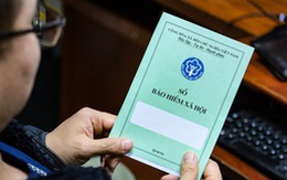 Tập đoàn xây dựng Hòa Bình nợ trên 57 tỉ đồng bảo hiểm xã hội