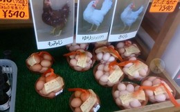 Ảnh vui 11-7: 'Nhà máy sản xuất' trứng bao uy tín