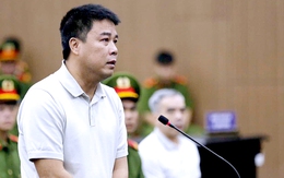 Chủ tịch Tập đoàn Phúc Sơn Nguyễn Văn Hậu bị kết án 30 năm tù