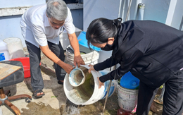 TP.HCM ghi nhận 6 ca tử vong do sốt xuất huyết trong 7 tháng