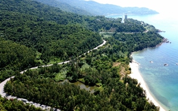 Du khách nước ngoài tử vong trên bán đảo Sơn Trà, xe mô tô rơi xuống hố thoát nước