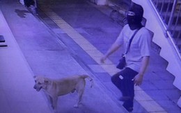 Mang chó cưng cùng đi cướp, thanh niên Thái 'vui được đúng 2 ngày'