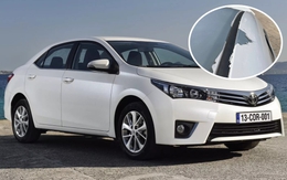 Toyota bị kiện vì hàng nghìn xe Corolla sơn trắng bong tróc dưới trời nắng