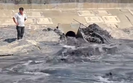 Dân đang tắm biển Gia Lai hết hồn vì nước thải đen kịt chảy tràn lan