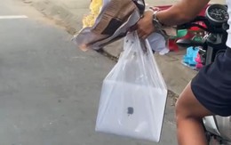 Ảnh vui 14-7: Người vô tư 'tưởng' người đời vô tâm