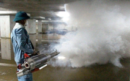 Bệnh sốt xuất huyết tăng nhiều nơi, TP.HCM đã có 6 ca tử vong