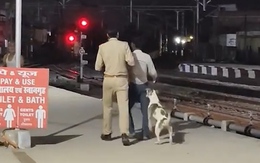 Ấn Độ: Thanh niên xui xẻo, đã bị cảnh sát bắt lại còn bị... chó cắn