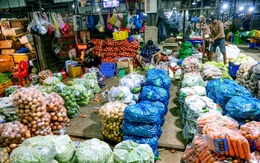 Túi ni lông phải sớm... hết thời