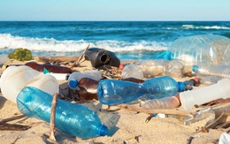 Giảm rác thải nhựa cần thực chất hơn