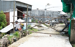 Cà Mau: Tranh chấp lối đi, đem cây rào đường