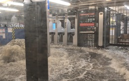 Ga tàu New York ngập nặng, nước lũ phun như vỡ mạch ngầm