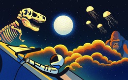 Số phận các mẫu vật gửi lên phòng kiểm nghiệm không gian