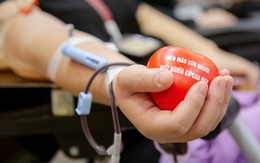 Vụ lộ thông tin người hiến máu: Ảnh hưởng công tác hiến máu, mong công an vào cuộc