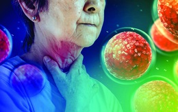 Tuổi già, môi trường sống và phản ứng viêm