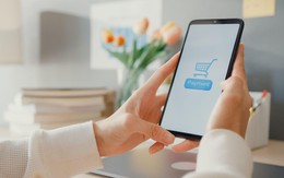 Đẩy mạnh thói quen tiêu dùng trực tuyến bằng phí vận chuyển 0đ