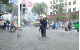 Ở xứ Mỹ cũng ngập