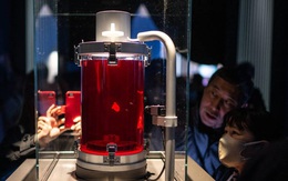 Expo Osaka 2025 - Những tương lai nhân loại - Kỳ 2: Y học tái sinh và giấc mơ trường thọ