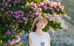 Du khách mê mẩn với 'thảm hoa' bằng lăng nhuộm tím cánh rừng