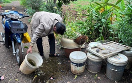 Bệnh nhân quê Lâm Đồng tử vong vì sốt xuất huyết tại Đắk Lắk