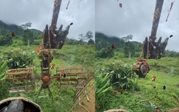 Tài xế máy xúc bối rối khi di chuyển máy cày giúp bác nông dân