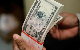 Nhìn cách tiêu tiền hôm nay, biết được sức khỏe não 10 năm sau