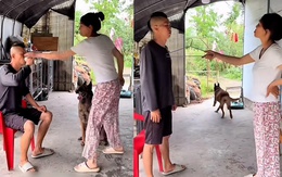 Chú chó đáo để khi thấy ông chủ bị 'nóc nhà' nạt nộ