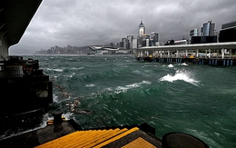 Hong Kong nâng cảnh báo bão Wipha lên mức cao nhất kể từ 2023