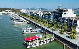 Tạm dừng cấp phép rời cảng đối với tàu khách trên vịnh Hạ Long