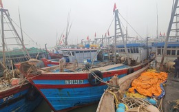 Thanh Hóa cấm biển từ 8h ngày 21-7, hàng nghìn tàu cá đã vào bờ