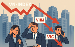 Chứng khoán giảm mạnh, loạt cổ phiếu bất động sản bị bán mạnh sau đề xuất thuế