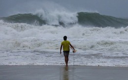 HLV Hong Kong bị chỉ trích vì lướt sóng giữa bão Wipha