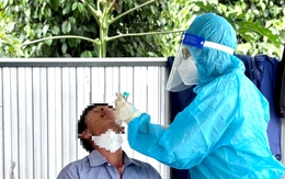 Phát hiện một hộ chăn nuôi có gà nhiễm H5N1, Đắk Lắk khoanh vùng dập dịch