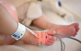 Tìm ra 2 cách mới giúp 'hồi sức' tim bên ngoài cơ thể