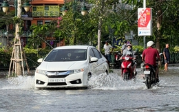 'Lái xe trong mưa bão không phải chuyện kinh nghiệm, mà là sinh tồn'