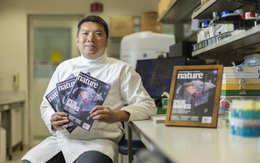 Dự đoán chính xác hơn 80% sự tái phát ung thư gan nhờ AI