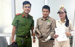 Đầu bếp nhà hàng ở Đà Nẵng mua tê tê quý hiếm, bị tạm giữ cùng 2 người bán