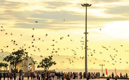 Bất động sản Nha Trang đón sóng dịch chuyển dân cư