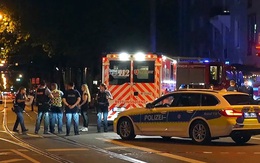 Hỗ trợ các thủ tục pháp lý đưa tro cốt 2 anh em sinh đôi người Việt tử vong ở Đức về nước