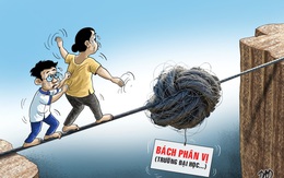Trường đại học cũng rối với bách phân vị