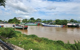 Doanh nghiệp than kiểm dịch lúa từ Campuchia bị 'ngâm', cơ quan chức năng lên tiếng