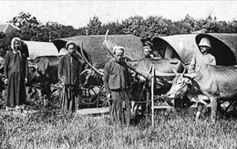 Từ mẫu đến hecta: Hành trình luộm thuộm của sử học Việt