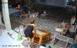 Cô gái đứng hình vì làm vỡ kính khi kéo bàn qua bậc thềm