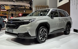 'Mục sở thị' Subaru Forester 2025: Dự kiến sớm về Việt Nam đấu Mazda CX-5, Honda CR-V