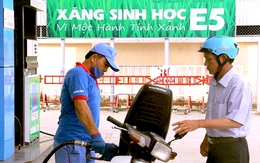 Xăng E10 thay xăng khoáng, ông lớn chiếm 50% thị phần thí điểm tại TP.HCM từ 1-8