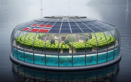 Nhà kính nổi Ocean Bloom gây chú ý nhưng không có thật
