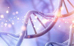 Phát hiện mã di truyền bí mật trong ADN người