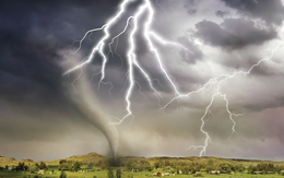 320 triệu cây xanh bị sét đánh chết mỗi năm, thải ra 1 tỉ tấn CO₂