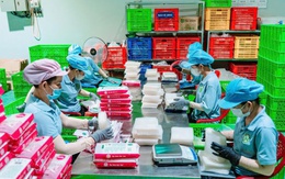 Giá gạo giảm mạnh, doanh nghiệp xuất khẩu bún, phở, bánh tráng… kỳ vọng thắng lớn