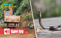 Điểm tin 18h: Mưa lớn trở lại làm quốc lộ 7 sạt lở; Bé 1 tuổi ở Ấn Độ cắn chết rắn hổ mang